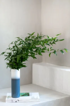 Villeroy & Boch Lave Home Cilindervaas 25 Cm -Villeroy & Boch 504477 01 5 EnvironmentImage f295c24018 scaled