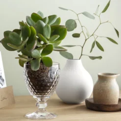 Villeroy & Boch Boston Tumblerglas 41 Cl -Villeroy & Boch 570796 01 5 EnvironmentImage ed4d4e0f82 scaled